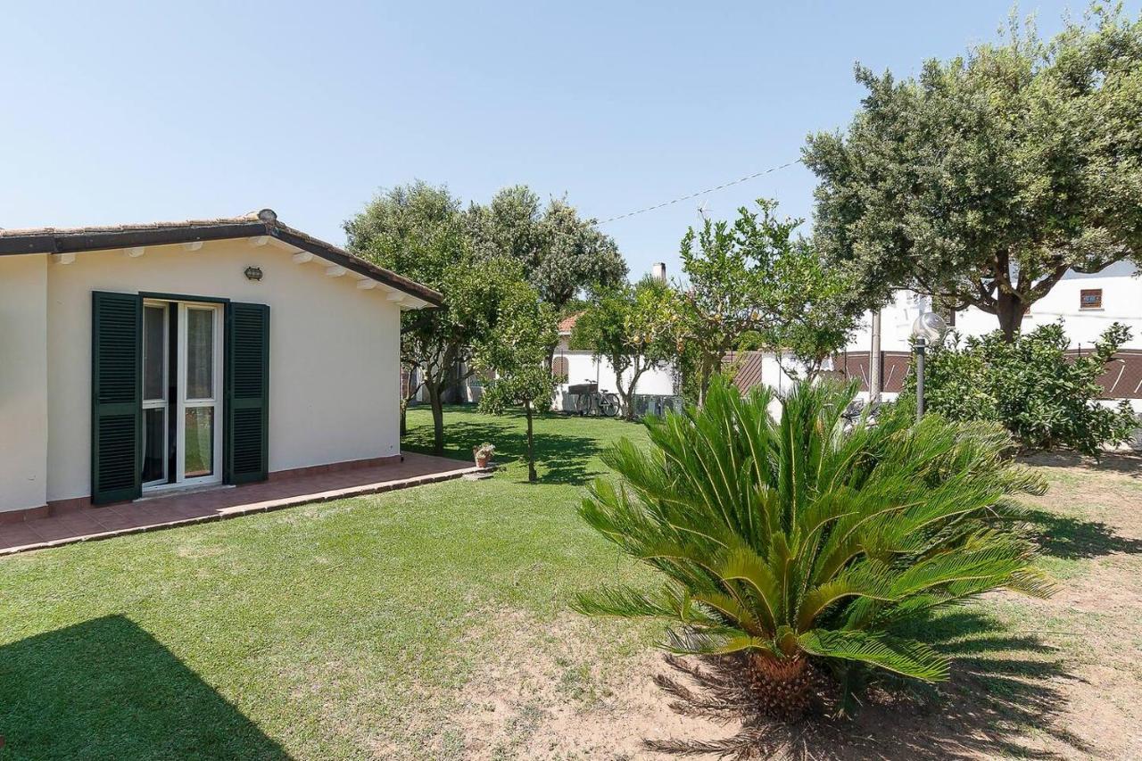 La Cesa Holiday House Сан-Феліче-Чирчео Екстер'єр фото